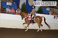 09r12-07617 proof