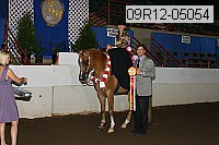 09r12-05054 proof