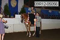 09r12-05056 proof