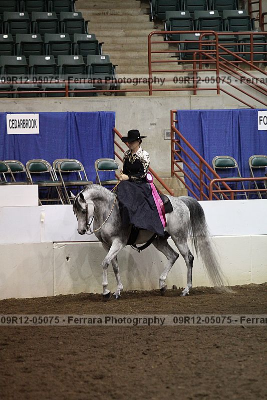 Proof 09r12-05075