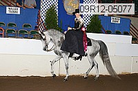 09r12-05077 proof