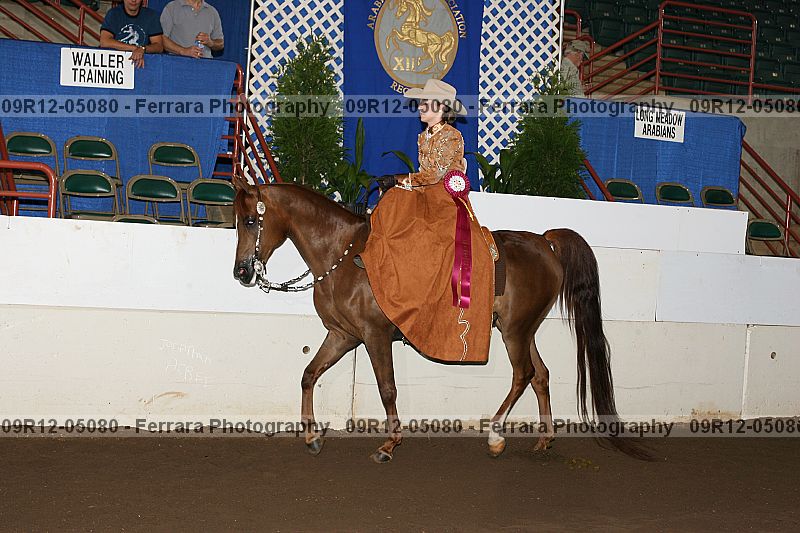 Proof 09r12-05080