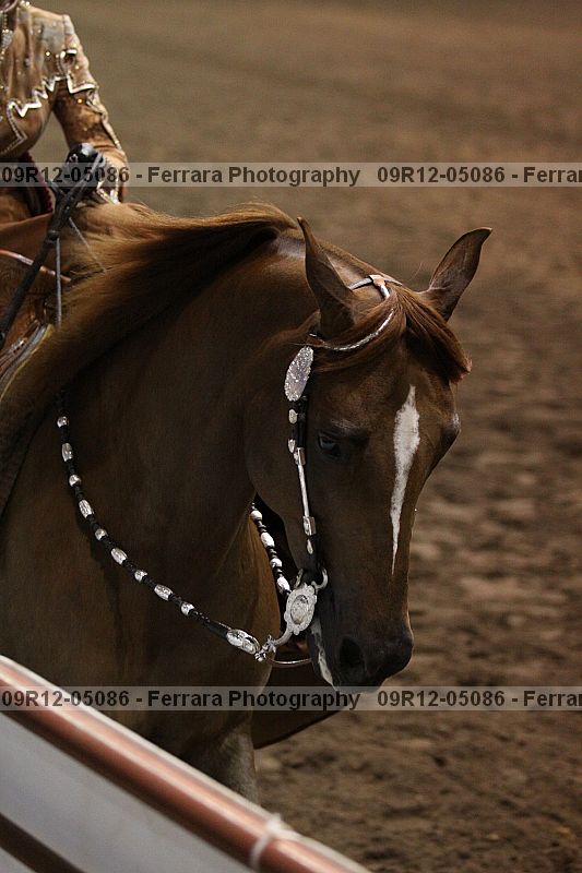 Proof 09r12-05086
