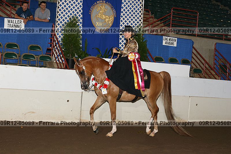 Proof 09r12-05089