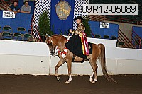 09r12-05089 proof