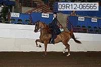 09r12-06565 proof