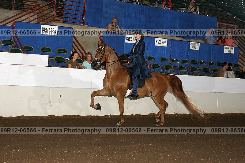 Proof 09r12-06566