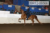 09r12-06566 proof