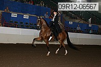 09r12-06567 proof