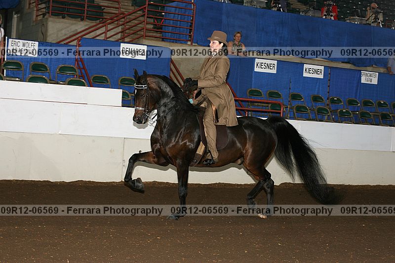 Proof 09r12-06569