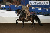 09r12-06569 proof