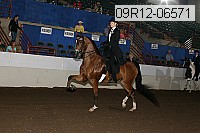 09r12-06571 proof