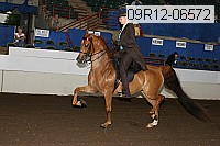 09r12-06572 proof
