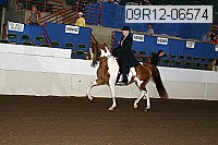 09r12-06574 proof