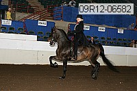 09r12-06582 proof