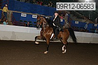 09r12-06583 proof