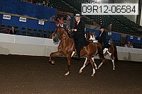09r12-06584 proof