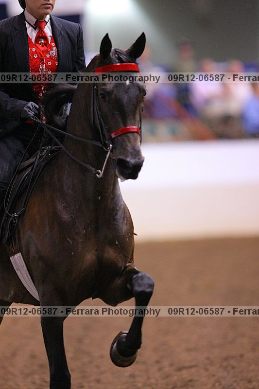 Proof 09r12-06587