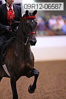 09r12-06587 proof