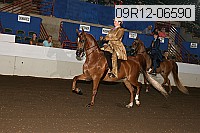 09r12-06590 proof
