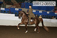 09r12-06592 proof