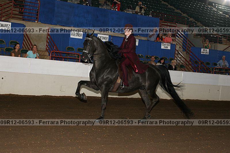 Proof 09r12-06593