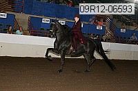 09r12-06593 proof