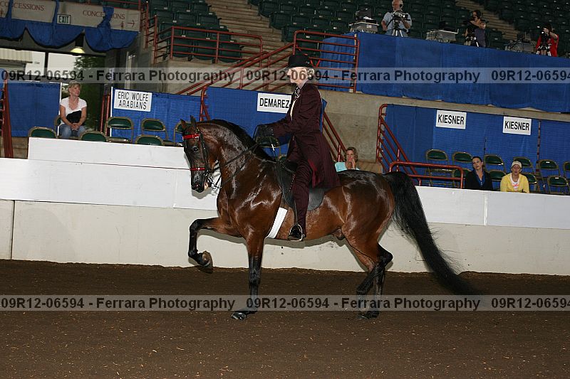 Proof 09r12-06594