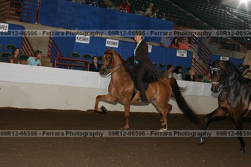 Proof 09r12-06596