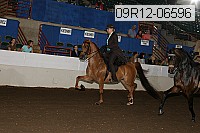 09r12-06596 proof
