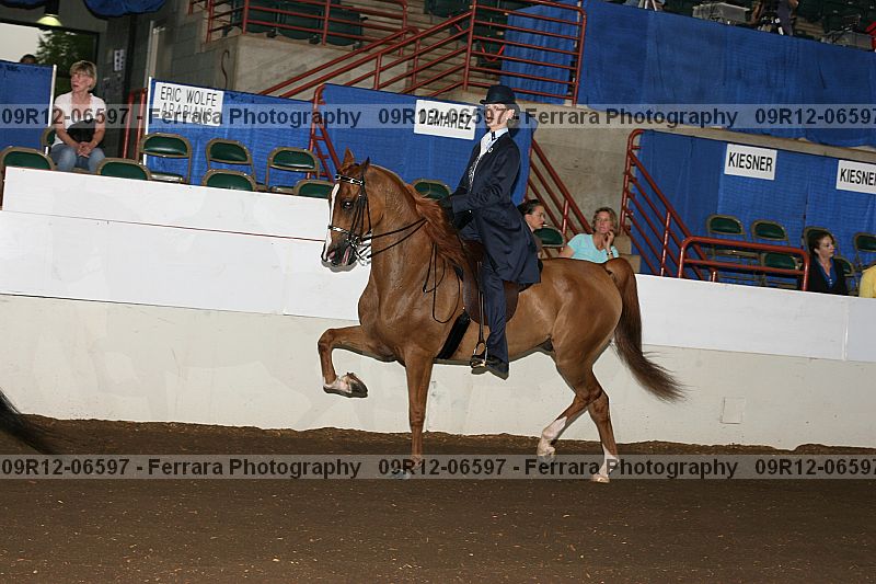 Proof 09r12-06597