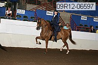 09r12-06597 proof