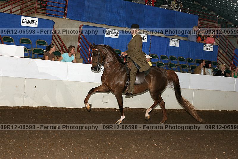 Proof 09r12-06598