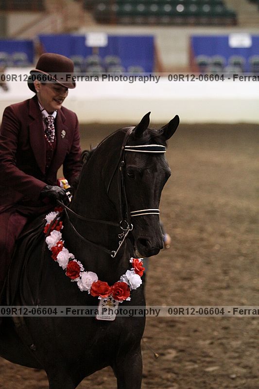Proof 09r12-06604