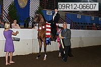 09r12-06607 proof