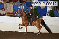 09r12-06612 proof