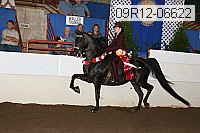 09r12-06622 proof