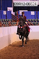 09r12-06624 proof