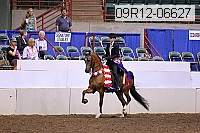 09r12-06627 proof