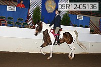 09r12-05136 proof
