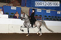 09r12-05166 proof