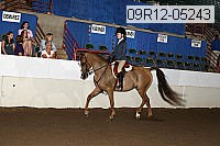 09r12-05243 proof