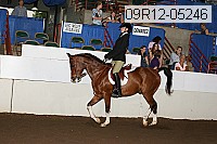 09r12-05246 proof