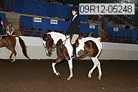 09r12-05248 proof