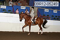 09r12-05249 proof
