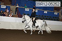 09r12-05252 proof