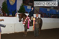 09r12-05256 proof