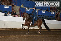 09r12-05285 proof