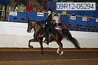 09r12-05294 proof