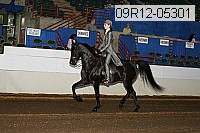 09r12-05301 proof